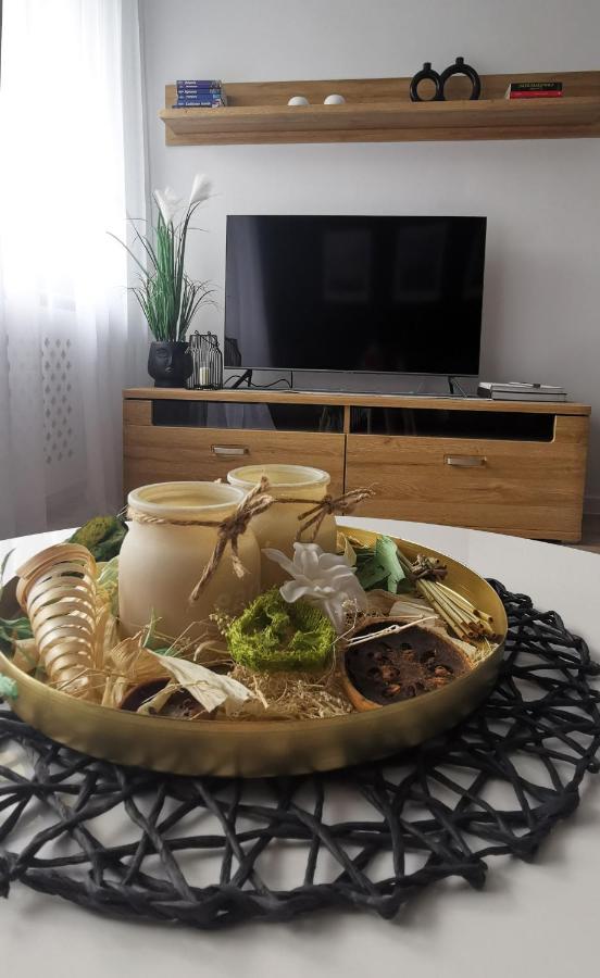 Apartament Opawska غليفيتسه المظهر الخارجي الصورة